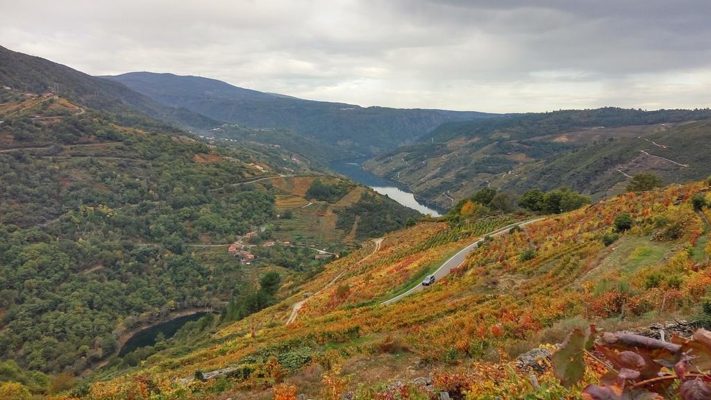 Casa Grande De Cristosende Vendégház Kültér fotó